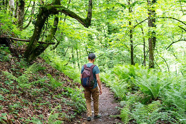 Weil durch das Fasten Muskeln abgebaut werden, sollte man dem durch viel Bewegung, z. B. Wandern oder Radfahren, entgegenwirken. Weil durch das Fasten Muskeln abgebaut werden, sollte man dem durch viel Bewegung, z. B. Wandern oder Radfahren, entgegenwirken.