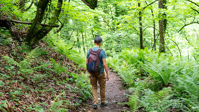 Weil durch das Fasten Muskeln abgebaut werden, sollte man dem durch viel Bewegung, z. B. Wandern oder Radfahren, entgegenwirken. Weil durch das Fasten Muskeln abgebaut werden, sollte man dem durch viel Bewegung, z. B. Wandern oder Radfahren, entgegenwirken.