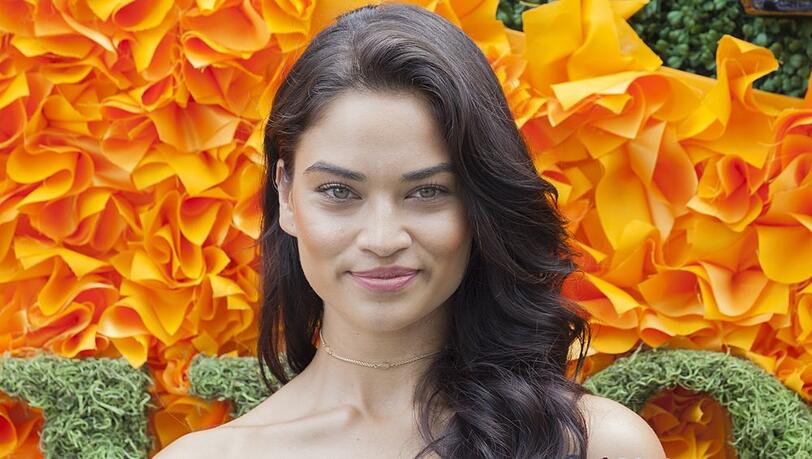 Shanina Shaik hat auf Instagram ihre erste Schwangerschaft bekannt gegeben.