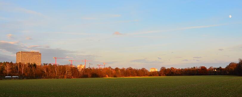 Allach: Baukran-Wald vor richtigem Wald.