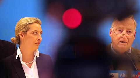 Alexander Gauland und Alice Weidel, Fraktionsvorsitzende der AfD, geben bei der Fraktionssitzung ihrer Partei ein Statement ab.