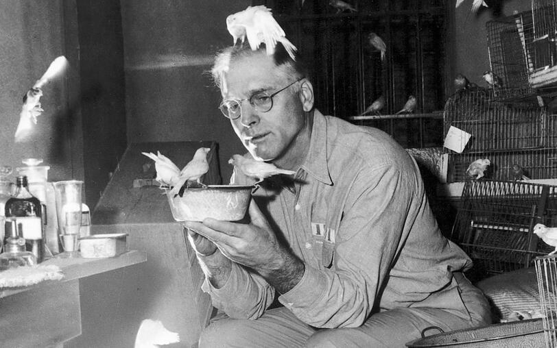 Robert Franklin Stroud (Burt Lancaster) in seiner Gefängniszelle, wo er viele Vögel hält: Das Studium ihres Verhaltens wird zu seiner neuen Lebensaufgabe. Robert Franklin Stroud (Burt Lancaster) in seiner Gefängniszelle, wo er viele Vögel hält: Das Studium ihres Verhaltens wird zu seiner neuen Lebensaufgabe.