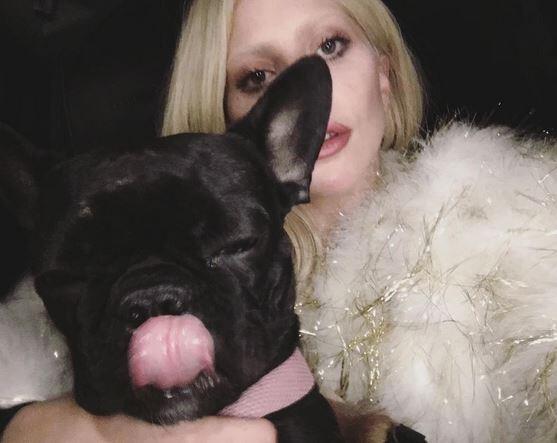Auch Lady Gaga verbringt das Familienfest mit ihrer französischen Bulldogge.