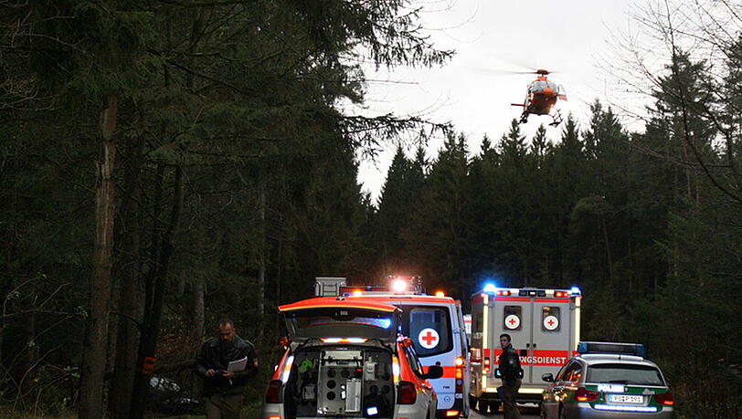 Baum zerquetscht Auto: Die Bilder vom Rettungseinsatz Baum zerquetscht Auto: Die Bilder vom Rettungseinsatz
