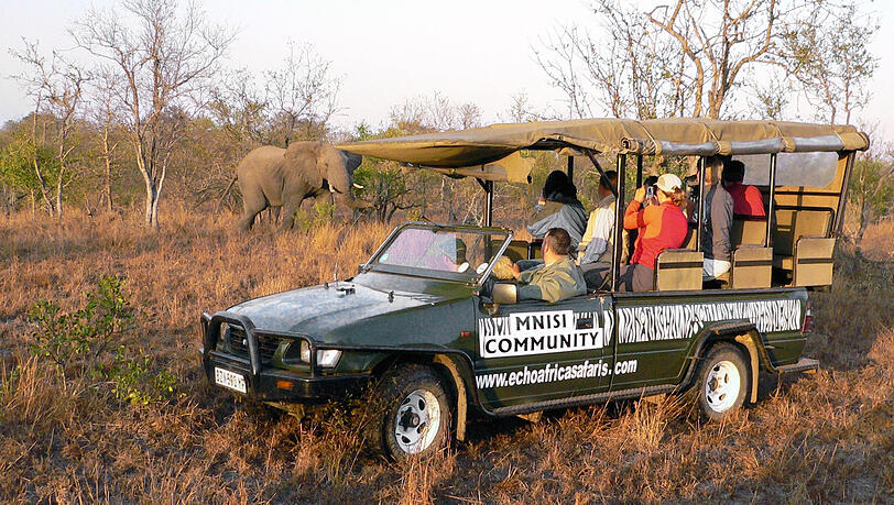Und auch mit den Afrika-Reisen. Und auch mit den Afrika-Reisen.