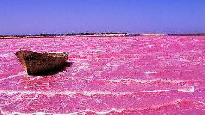 A Retba-See, Senegal: Ein pinker See? Ja, den gibt&rsquo;s wirklich, rund 35 Kilometer nordöstlich der senegalesischen Hauptstadt Dakar. Die pinke Färbung auf dem gut sieben Quadratkilometer großen und sehr stark salzhaltigen See entsteht durch Bakterien.
