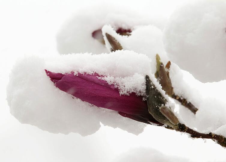 Schnee in Baierbrunn (Archivbild)