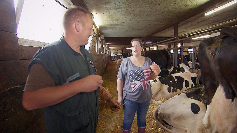 Der Besamer (r.) für die Kühe hat sich auf Torstens Hof angemeldet. Sandra (42) schaut sich alles ganz genau an und hilft beim Besamen einer Kuh mit.