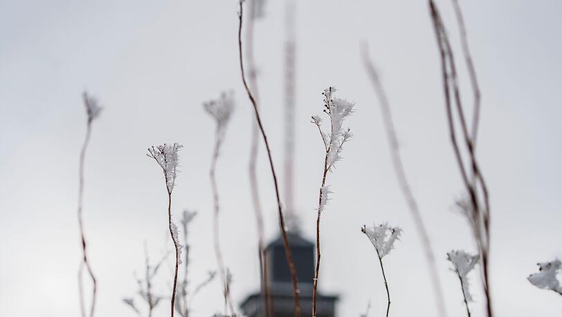 Das Wetter zum Wochenende wird wechselhaft.