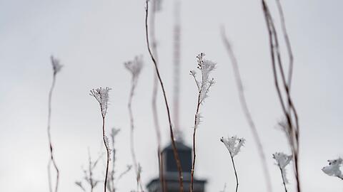 Das Wetter zum Wochenende wird wechselhaft.