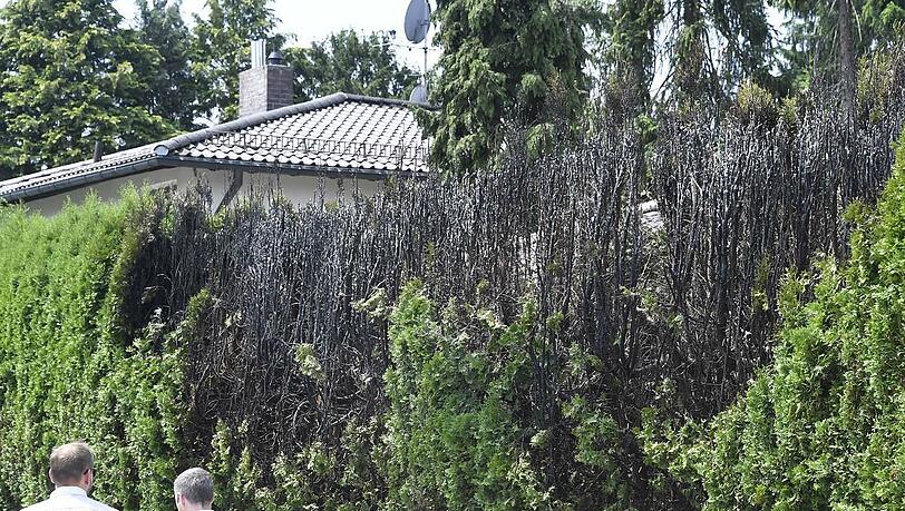 Die Hecke im Nobelviertel Grünwald brannte völlig aus. Die Hecke im Nobelviertel Grünwald brannte völlig aus.