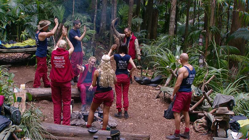 Ricky Harris (M.) muss das Camp verlassen. Er verabschiedet sich von (v.l.) Jürgen Milski, Brigitte Nielsen, Menderes Bagci, Helena Fürst, Sophia Wollersheim, Nathalie Volk und Thorsten Legat.