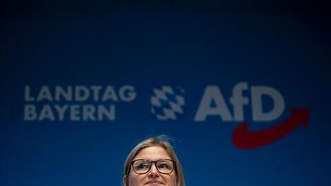 Die Landtags-AfD präsentiert nach ihrer Klausur ein ganzes Paket von Forderungen, insbesondere zum Thema Einbürgerungen. (Archivbild)