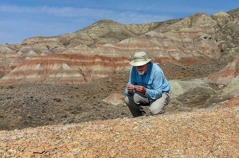 Forscherinnen und Forscher untersuchen Fossilien, um zu lernen, wie fr&uuml;here Hei&szlig;zeiten die Pflanzen und Tiere der Erde beeinflusst hatten.