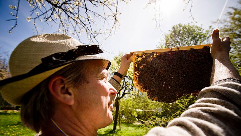 Glucklicher Imker, gluckliche Bienen: Nur mit Smoker – einem qualmenden Rauchfass – begegnet Andreas Pixis seinen 25 Bienenvölkern. Glucklicher Imker, gluckliche Bienen: Nur mit Smoker – einem qualmenden Rauchfass – begegnet Andreas Pixis seinen 25 Bienenvölkern.