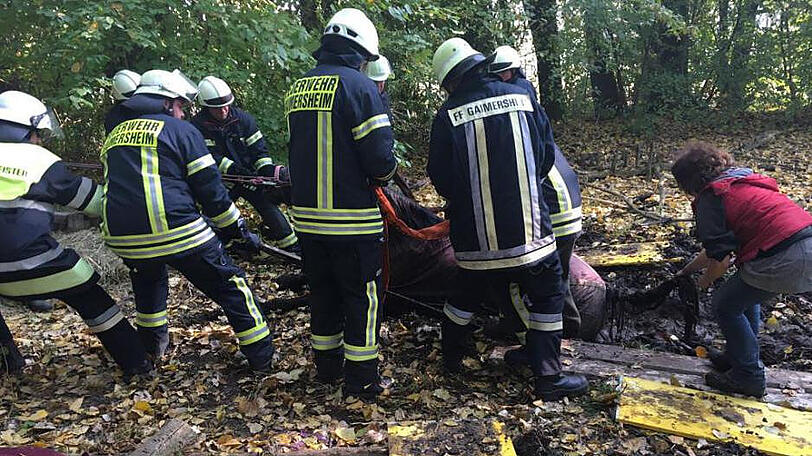 Die Retter der Feuerwehr Gaimersheim im Einsatz.