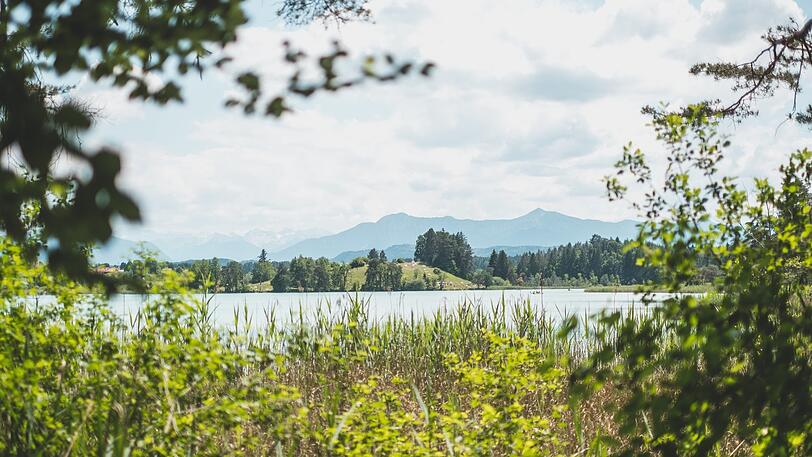 Der Gardasee? Das Meer? Nein, eine Badestelle unweit von München bietet türkisblaues Wasser und dieses Panorama, wie Eckl nahezu ungläubig schreibt. Sie liegt im Landschaftsschutzgebiet der Osterseen, wo baden nur an zwei Stellen erlaubt ist. Eine davon liegt am Fohnsee, dessen Wasser sehr sauber sei. Ausgangspunkt: Parkplatz am Ortsrand von Iffeldorf, Parkplatz am Campingplatz Fohnsee