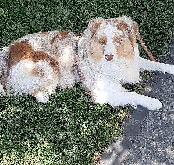 Meilo