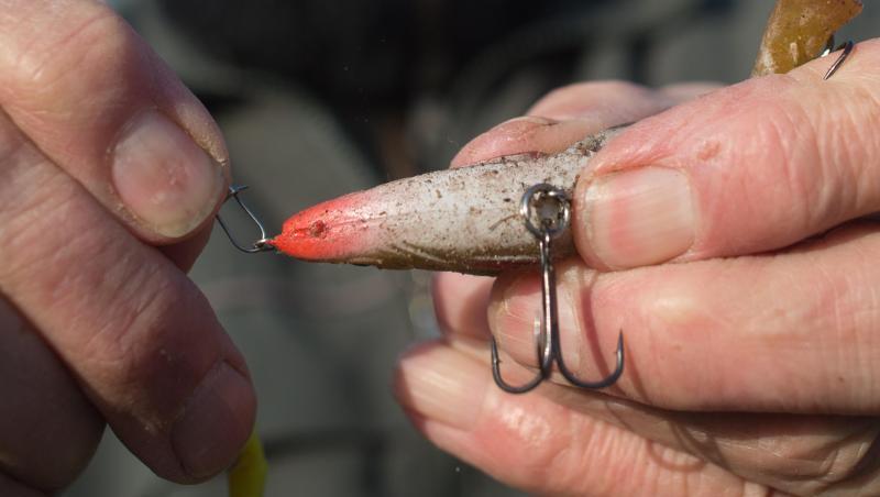 Ein Angler bereitet seine Angel vor und hängt einen Drilling an die Angelschnur. Der Fischereiverband beschäftigt sich derzeit mit dem Kliamwandel. Ein Angler bereitet seine Angel vor und hängt einen Drilling an die Angelschnur. Der Fischereiverband beschäftigt sich derzeit mit dem Kliamwandel.