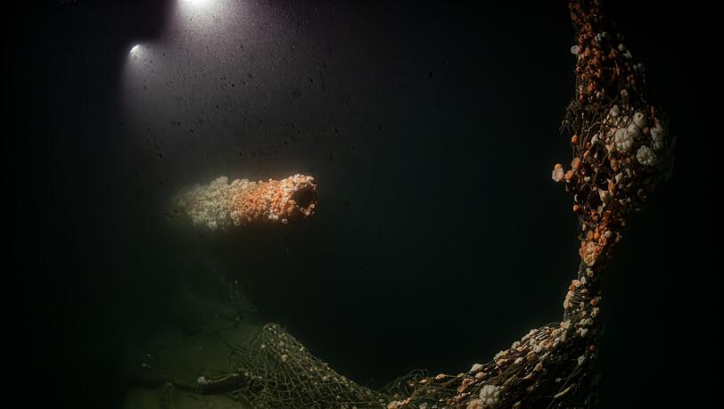 Die Tauchgänge fanden nach Angaben des Teams in großer Tiefe und unter herausfordernden Bedingungen statt. Die Tauchgänge fanden nach Angaben des Teams in großer Tiefe und unter herausfordernden Bedingungen statt.