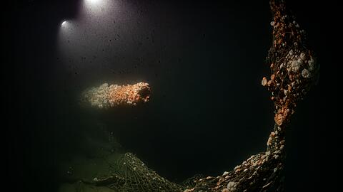 Die Tauchg&auml;nge fanden nach Angaben des Teams in gro&szlig;er Tiefe und unter herausfordernden Bedingungen statt.