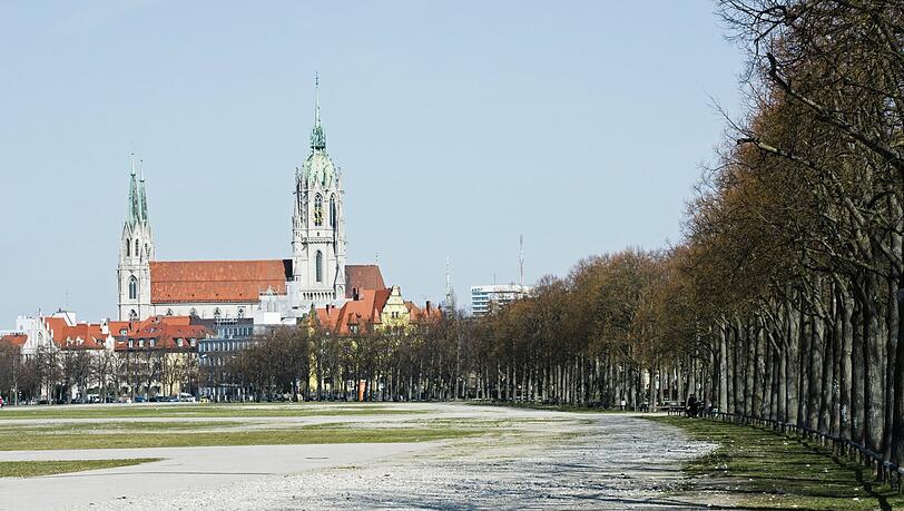 Nicht gießwürdig: die Stadtbäume, hier an der Theresienwiese.