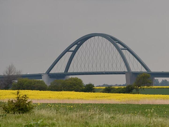 Die Fehmarnsundbrücke hinter blühenden Feldern. In dem Bereich soll die Hinterlandanbindung für die geplante Fehmarnbeltquerung entlang führen.