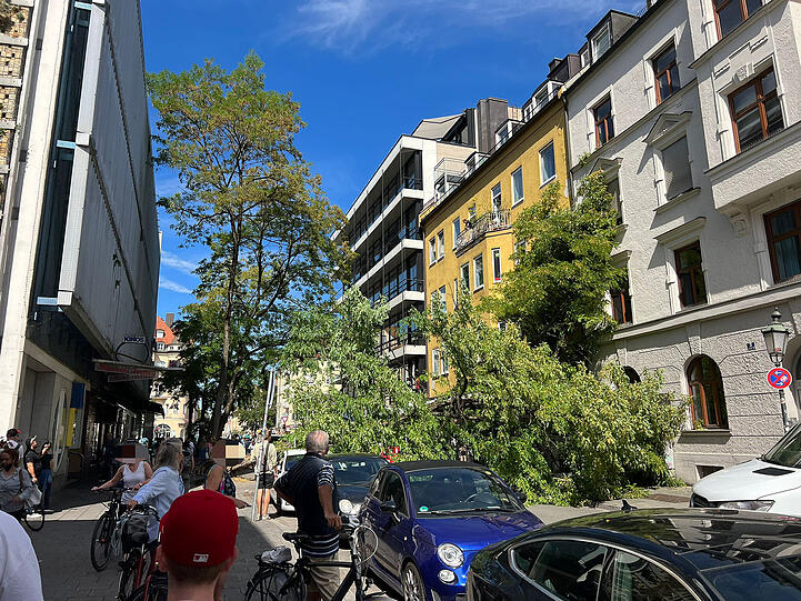 Der Baum hat ersten Informationen nach ein Auto beschädigt. Verletzt wurde laut Feuerwehr niemand.