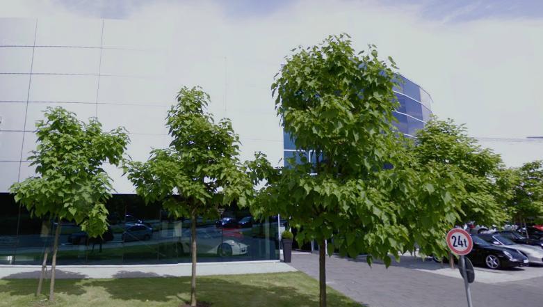 Hier dürfen sie noch munter wachsen: Die inzwischen zusammengeschnittenen Bäumchen in der Drygalskiallee. Hier dürfen sie noch munter wachsen: Die inzwischen zusammengeschnittenen Bäumchen in der Drygalskiallee.