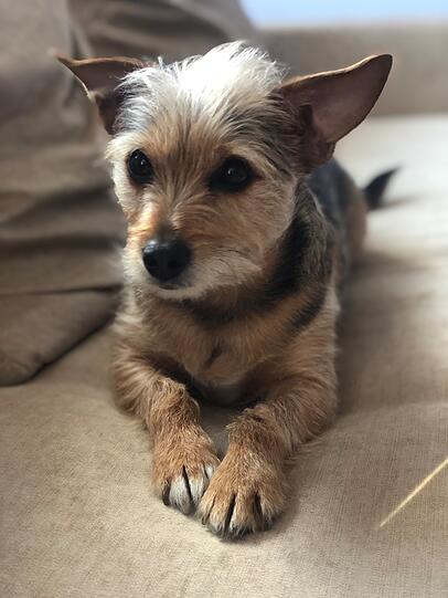 Emilio
