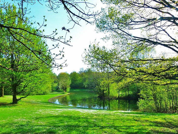Blick ins Grüne
