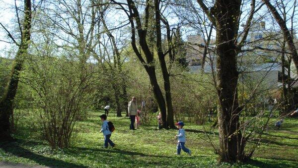 Ein möglicher Standort: der Behrpark Ein möglicher Standort: der Behrpark