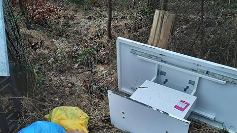 Containerschränke, einen Schreibtisch, Stühle, sogar eine Kaffeemaschine: All dies hat Rosenbaum in einem Waldstück gefunden.