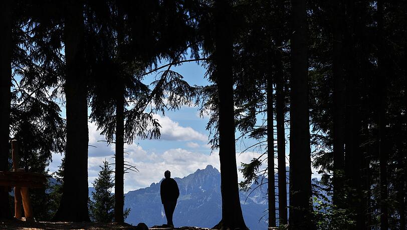 In den Allgäuer Alpen will die Polizei in den kommenden Wochen verstärkt Naturschutzkontrollen durchführen. (Symbolbild) In den Allgäuer Alpen will die Polizei in den kommenden Wochen verstärkt Naturschutzkontrollen durchführen. (Symbolbild)