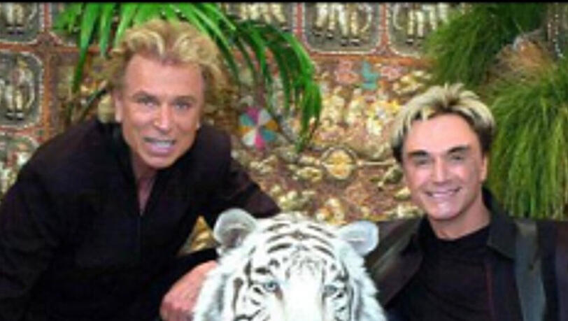 Siegfried (li.) & Roy (re.) mit dem jetzt verstorbenen Tiger Mantecore zwischen sich Siegfried (li.) & Roy (re.) mit dem jetzt verstorbenen Tiger Mantecore zwischen sich