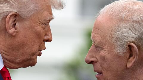 In seiner Rede bezog sich Charles auch auf den Klimawandel, den Trump immer wieder de facto leugnete.
