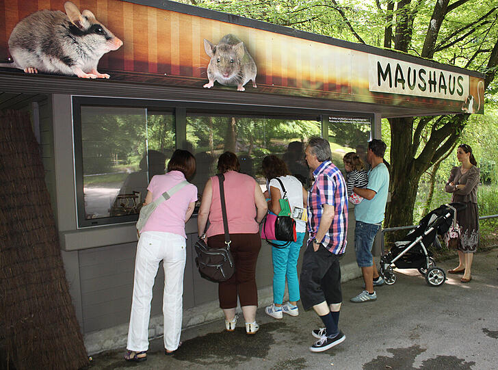 In einem stillgelegten Kiosk wurde das neue Maushaus eingerichtet.