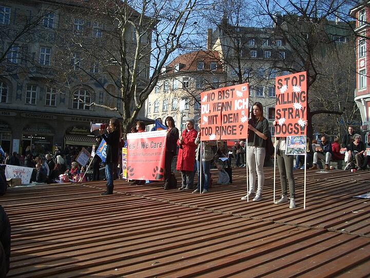 Um die 150 Tierfreunde waren am Rindermarkt, um mit Plakaten, Flyern, Bannern und Gesprächen über die Streunerproblematik und die grausamen Tötungen der Hunde in Rumänien aufzuklären.