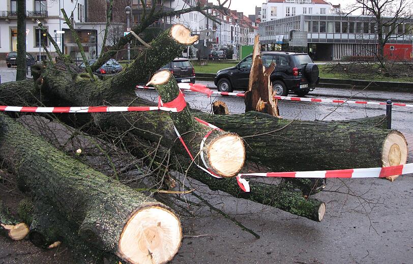 Zerlegte Baumstämme liegen am Donnerstagnachmittag (05.01.2012) am Präsident-Kennedy-Platz in Bremen. Der Sturm «Andrea» hatte dort zuvor einen Baum auf ein Taxi stürzen lassen. Der Fahrer konnte sich bei dem Unglück auf den Beifahrersitz retten, berichtete die Polizei. Der Mann wurde an der Schulter verletzt. Weitere Einzelheiten waren zunächst nicht bekannt.
