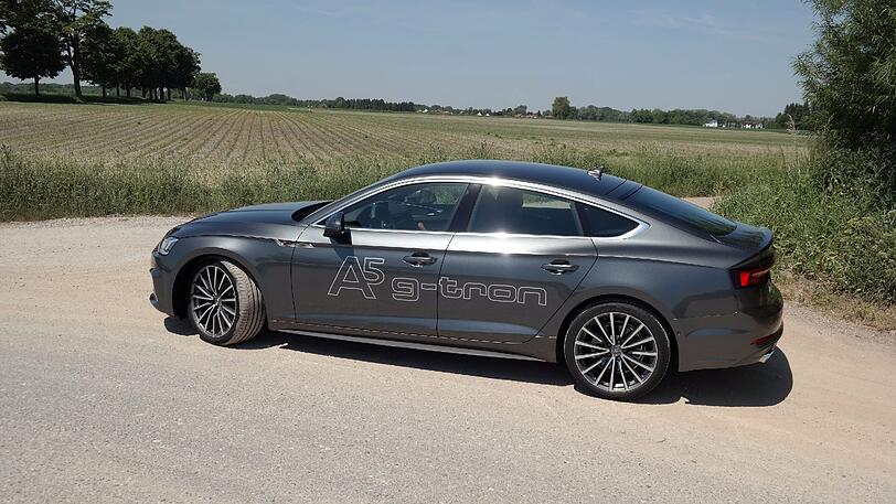 Vom A5 Sportback g-tron und seinem Gas-Bruder A4 Avant g-tron erhofft sich Audi einem Schub beim Erdgas-Antrieb.