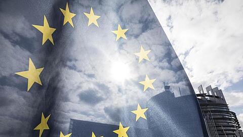 Für die Studie waren rund 11.700 EU-Bürger befragt worden.