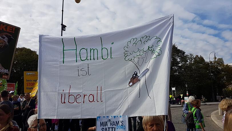 "Mia ham&rsquo;s satt": Die große Demo in München an diesem Samstag