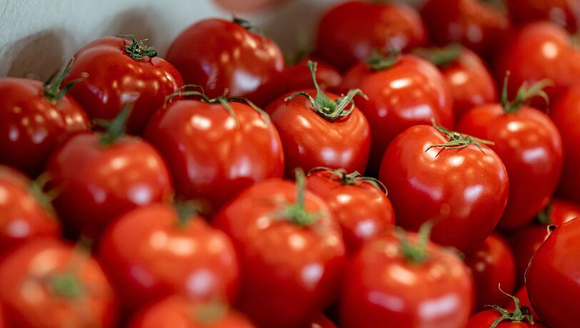 Tomaten sind nach Angaben des Bundesinformationszentrums Landwirtschaft das beliebteste Gemüse in Deutschland.