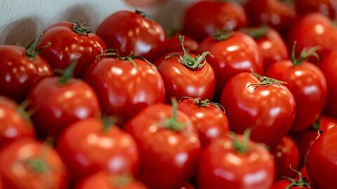 Tomaten sind nach Angaben des Bundesinformationszentrums Landwirtschaft das beliebteste Gemüse in Deutschland.