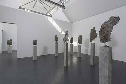 Anthony James' "Morphic Fields".