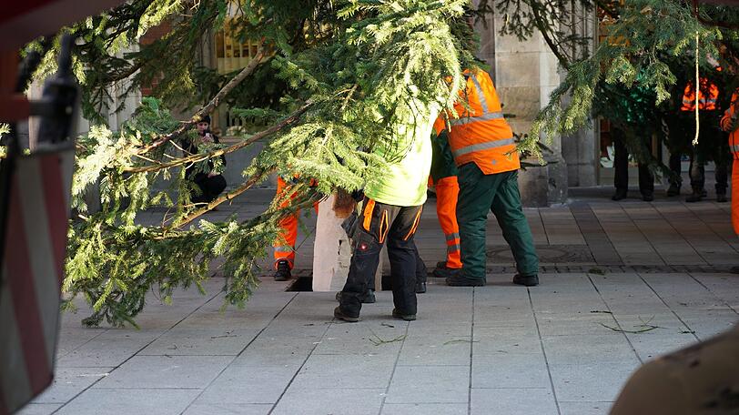 Stück für Stück wird der Mega-Baum aufgerichtet.