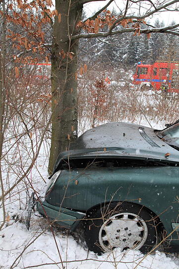 Die Beifahrerin wollte in der Not noch eingreifen. Dennoch kracht das Fahrzeug nach langer Schlitterfahrt gegen einen Baum.