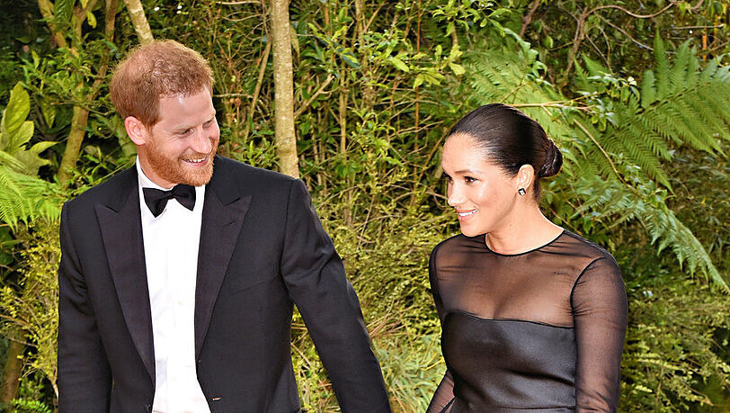 Prinz Harry nimmt Ehefrau Meghan und Baby Archie mit nach Südafrika Prinz Harry nimmt Ehefrau Meghan und Baby Archie mit nach Südafrika