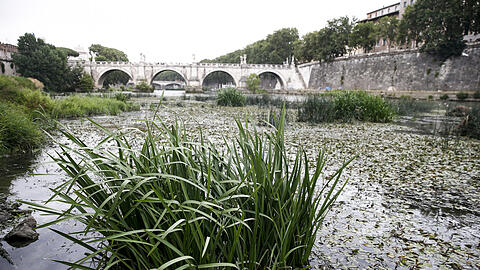 Der Wasserstand des Tibers sinkt, und die Stadt steht vor einem Notstand aufgrund der anhaltenden Trockenheit und den heißen Temperaturen.