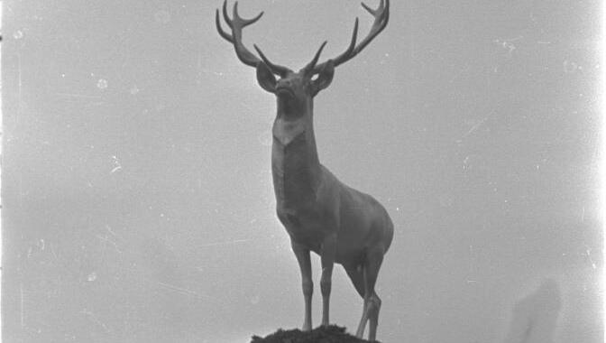 Christian Weber eröffnet das Jagdmuseum im Oktober 1938 im Nymphenburger Schloss. Christian Weber eröffnet das Jagdmuseum im Oktober 1938 im Nymphenburger Schloss.